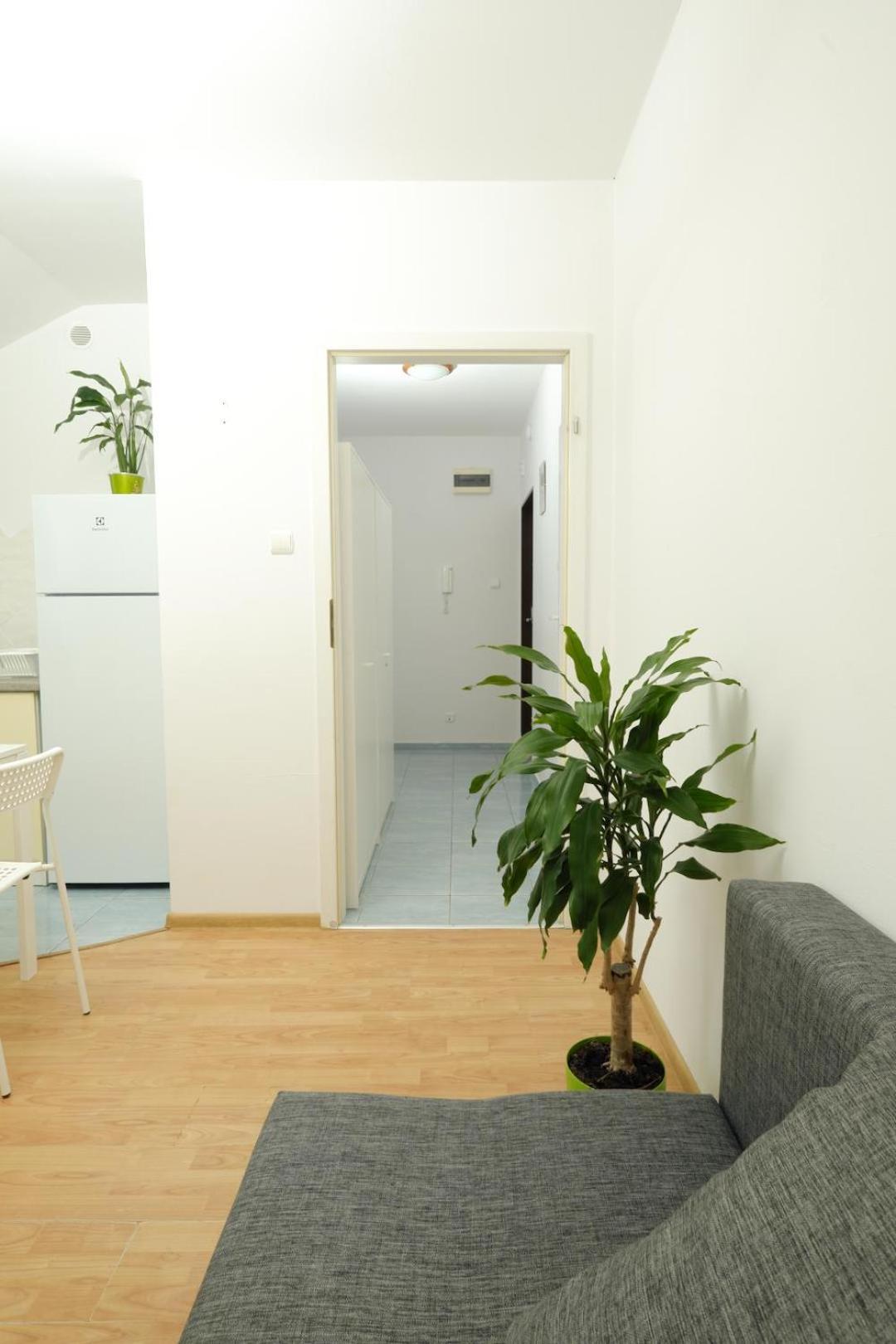 Apartament Sloneczny 7 오폴레 외부 사진